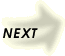 Next Page